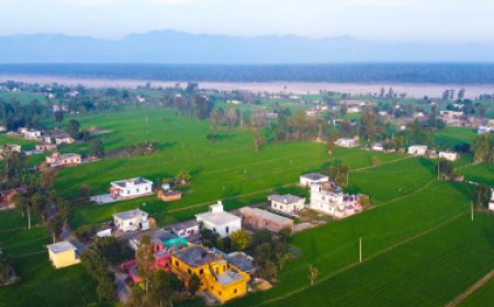 देहरादून: बापूग्राम, चौवन बग्गा और बिंदुखत्ता पर कैबिनेट का महत्वपूर्ण मार्गदर्शन