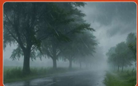 देहरादून मौसम अपडेट: मानसून में वृद्धि, आज भारी बारिश की पीली चेतावनी