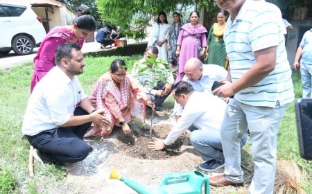 हरेला पर्व पर ऋतु खण्डूड़ी का जोरदार संदेश, हर परिवार से की पौधारोपण की विशेष अपील