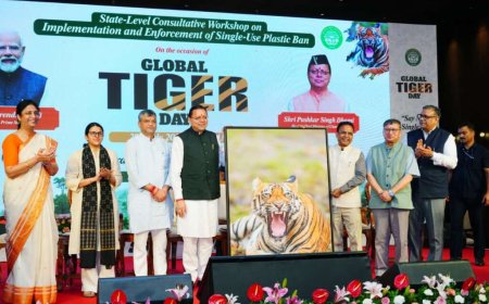 विश्व बाघ दिवस: सीएम धामी का बाघ संरक्षण के प्रति नया दृष्टिकोण