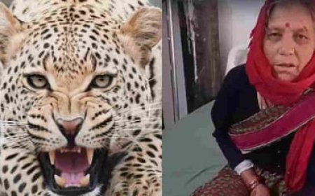 65 वर्षीय पहाड़ी महिला ने गुलदार से मुकाबला कर बचाई जान, लिया अद्वितीय साहसिक कदम