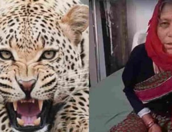 65 वर्षीय पहाड़ी महिला ने गुलदार से मुकाबला कर बचाई जान, लिया अद्वितीय साहसिक कदम
