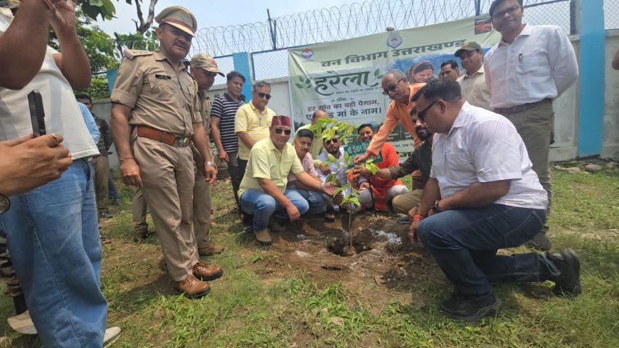 हर गाँव का यही पैगाम: एक पेड़ माँ के नाम - कार्बेट टाइगर रिजर्व और PNG PG कॉलेज में हरेला पर्व 2026 मनाया गया