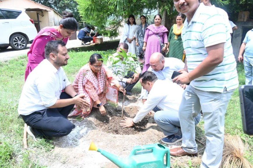 हरेला पर्व पर ऋतु खण्डूड़ी का जोरदार संदेश, हर परिवार से की पौधारोपण की विशेष अपील