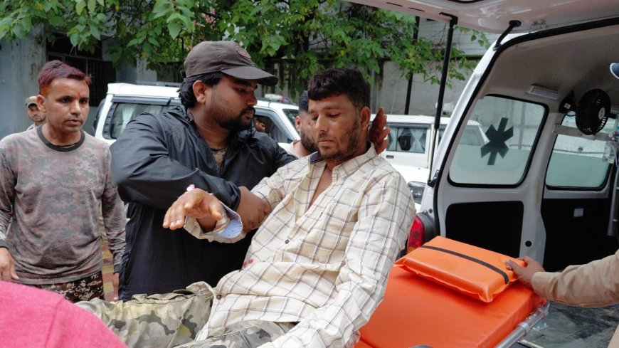 बाघ के हमले से साथी को जीवनदान देने वाले साहसी वन कर्मियों की अद्भुत कहानी