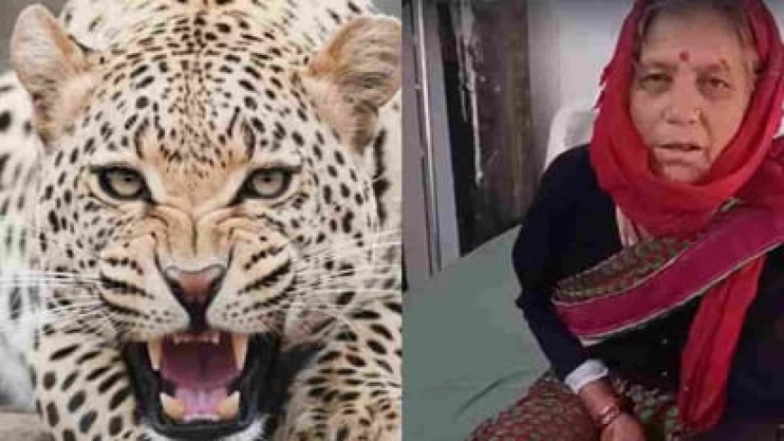 65 वर्षीय पहाड़ी महिला ने गुलदार से मुकाबला कर बचाई जान, लिया अद्वितीय साहसिक कदम