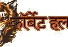 नैनीताल-ऊधम सिंह नगर के विकास कार्यों पर मुख्यमंत्री धामी और सांसद अजय भट्ट की महत्वपूर्ण मुलाकात