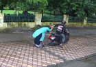उत्तराखंड: स्वतंत्रता दिवस से पूर्व बुजुर्ग महिला की चेन लूट, CCTV में कैद घटना