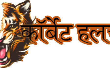नैनीताल-ऊधम सिंह नगर के विकास कार्यों पर मुख्यमंत्री धामी और सांसद अजय भट्ट की महत्वपूर्ण मुलाकात