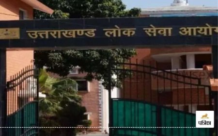 वन विभाग की संयुक्त परीक्षा के सफल उम्मीदवारों के अभिलेखों का सत्यापन: जानिए इस दिन की पूरी जानकारी