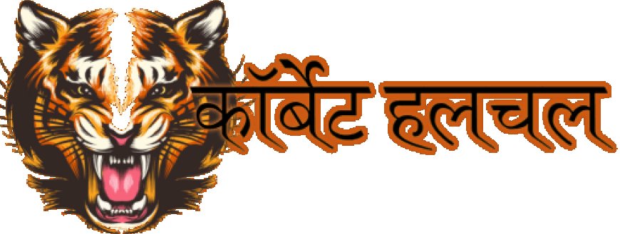 नैनीताल-ऊधम सिंह नगर के विकास कार्यों पर मुख्यमंत्री धामी और सांसद अजय भट्ट की महत्वपूर्ण मुलाकात