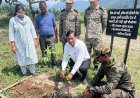 सिर्फ पौधे नहीं, भविष्य की हरियाली तैयार कर रहा एमडीडीए, पौधे लगाना पहला कदम,पेड़ बनाना जिम्मेदारी..बंशीधर तिवारी