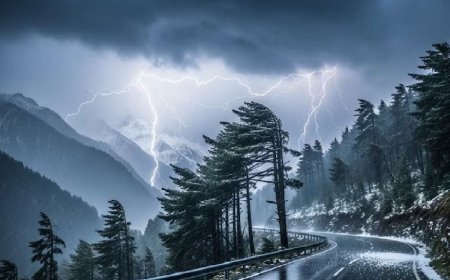 उत्तराखंड में अगले चार दिनों तक भारी बारिश का दौर, 9 जिलों में ऑरेंज अलर्ट