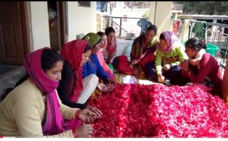 उत्तराखंड: पहाड़ी फलों से जैम-चटनी बनाकर आत्मनिर्भर बन रहीं हल्द्वानी की महिलाएं, बड़े शहरों तक पहुंच रहे उत्पाद