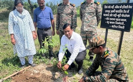 सिर्फ पौधे नहीं, भविष्य की हरियाली तैयार कर रहा एमडीडीए, पौधे लगाना पहला कदम,पेड़ बनाना जिम्मेदारी..बंशीधर तिवारी