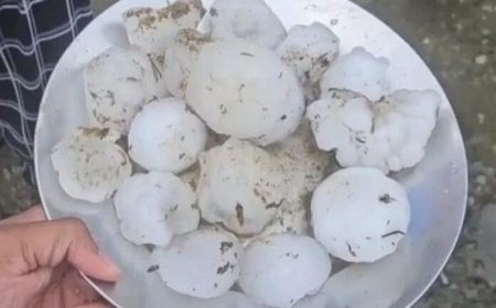 धर्मनगरी हरिद्वार में ओलावृष्टि ने मचाई तबाही, 300 से 500 ग्राम तक के ओले गिरे