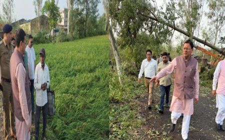 बाजपुर में हालात अत्यंत गंभीर, मौसम ने बर्बाद की फसलें, सीएम धामी ने लिया संज्ञान