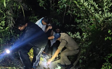 काठगोदाम: 150 मीटर गहरी खाई में गिरी थार, पुलिस और SDRF ने स्थानीय लोगों की मदद से 2 लोगों को सुरक्षित निकाला