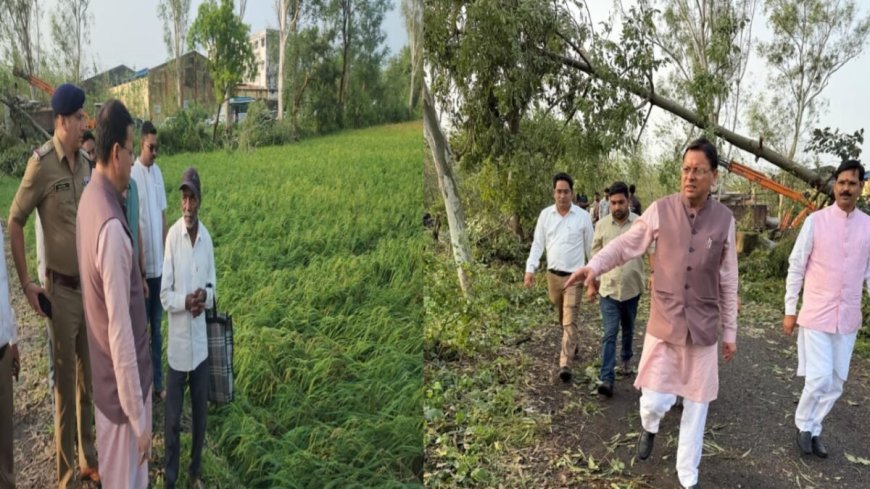 बाजपुर में हालात अत्यंत गंभीर, मौसम ने बर्बाद की फसलें, सीएम धामी ने लिया संज्ञान