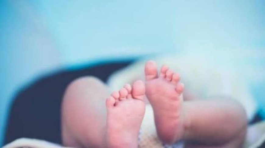 रुद्रपुर में कार के पहिए के पास मिली नवजात बच्ची